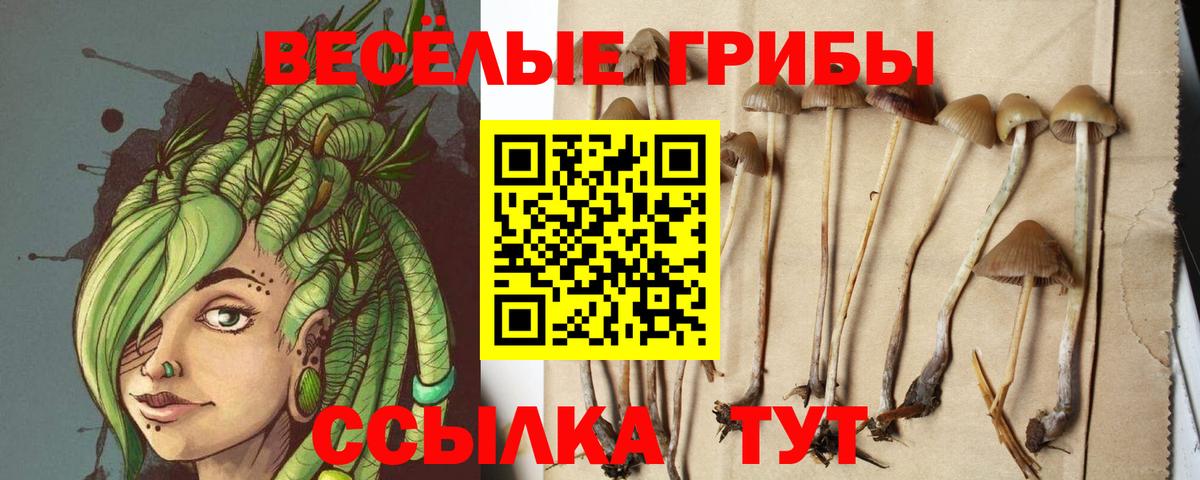 Сочи  Псилоцибиновые грибы MAGIC MUSHROOMS  Галлюциногенные грибы Magic Shrooms  Вход с VPN 