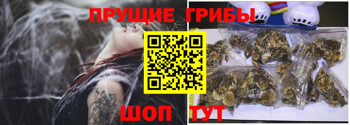 Галлюциногенные грибы ЛСД Сочи