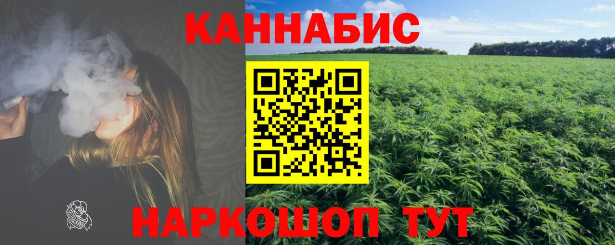 Сочи  Канабис план  Вход с VPN  Шишки марихуана семена  Каннабис Bruce Banner 